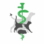 logo logo
